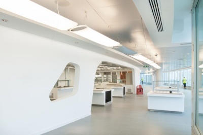 Main Contractor: Sir Robert McAlpine | Project: Amex House, Brighton | Contract Value: £1.25m
