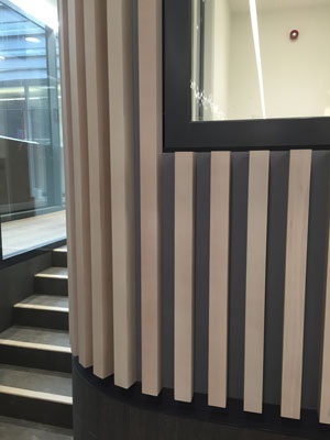 Main Contractors: ISG Construction | Project: The American School, London | Contract Value: £750k