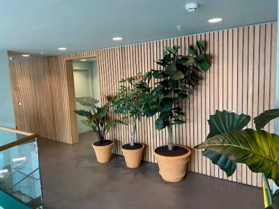 Repton Gardens, Wembley